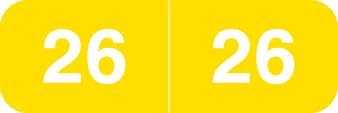 2026 MINI Year Labels, Doctor Stuff 2026 Chart Stickers, Yellow Color Coded, Ames Small Style, USA Made Year Stickers for End Tab File Folders, 500/Roll, 1 Roll, 1/2" x 1-1/2"
