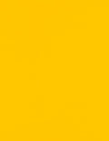 LUXPaper 8.5" x 11" Cardstock | Letter Size | Sunflower Yellow | 100lb. Cover (183lb. Text) | 50 Qty