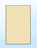 Limited Papers (TM) Colored Copy Paper – 24lb/60lb Text, 90 gsm, 11"x17", Tabloid Size, 500 Sheets Per Ream. (2500, Tan)