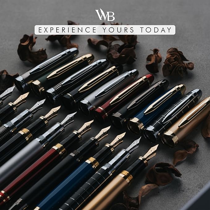 Wordsworth & Black Majesti Fountain Pen-(Silver), Luxury Case, 24K Gold Finish; 18K Gilded Medium Nib- Ink Cartridges, Refillable Ink Converter-Calligraphy Pen-Best Business Gift Set for Men & Women
